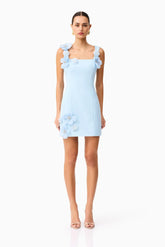 Chantelle Floral Mini Dress in Blue