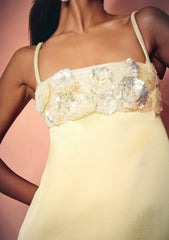 Lark Embroidered Dress